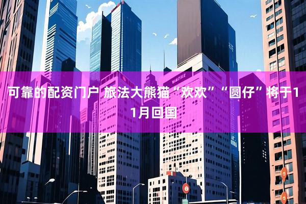 可靠的配资门户 旅法大熊猫“欢欢”“圆仔”将于11月回国