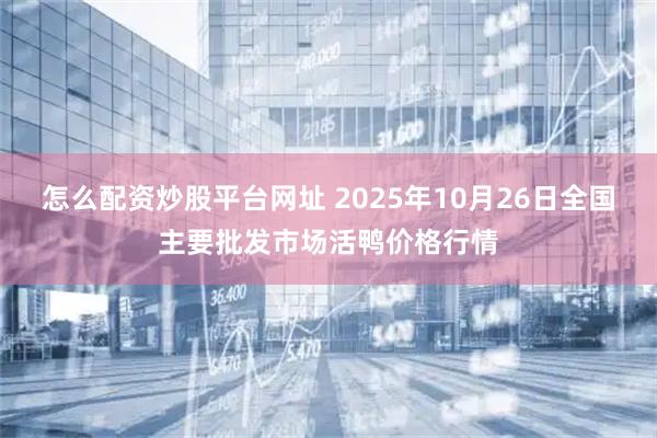 怎么配资炒股平台网址 2025年10月26日全国主要批发市场活鸭价格行情