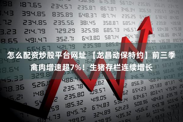怎么配资炒股平台网址 【龙昌动保特约】前三季禽肉增速超7%!生猪存栏连续增长