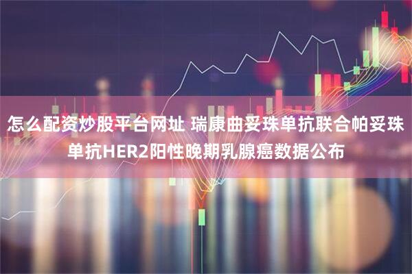 怎么配资炒股平台网址 瑞康曲妥珠单抗联合帕妥珠单抗HER2阳性晚期乳腺癌数据公布