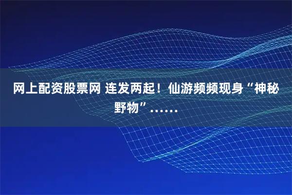 网上配资股票网 连发两起！仙游频频现身“神秘野物”……