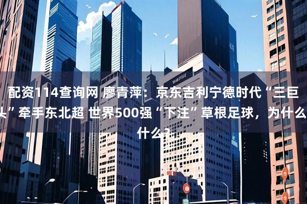 配资114查询网 廖青萍：京东吉利宁德时代“三巨头”牵手东北超 世界500强“下注”草根足球，为什么？